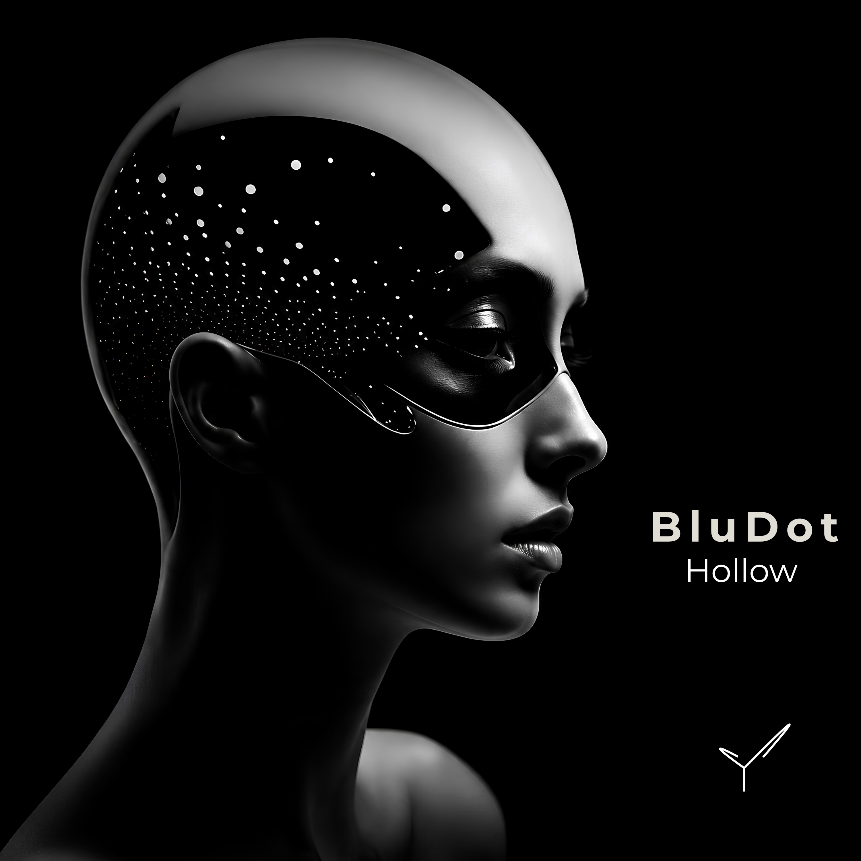 BluDot — Hollow